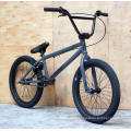 20 Inch Hi-Ten Frame BMX Bike/ Bicicleta/ Dirt Jump BMX